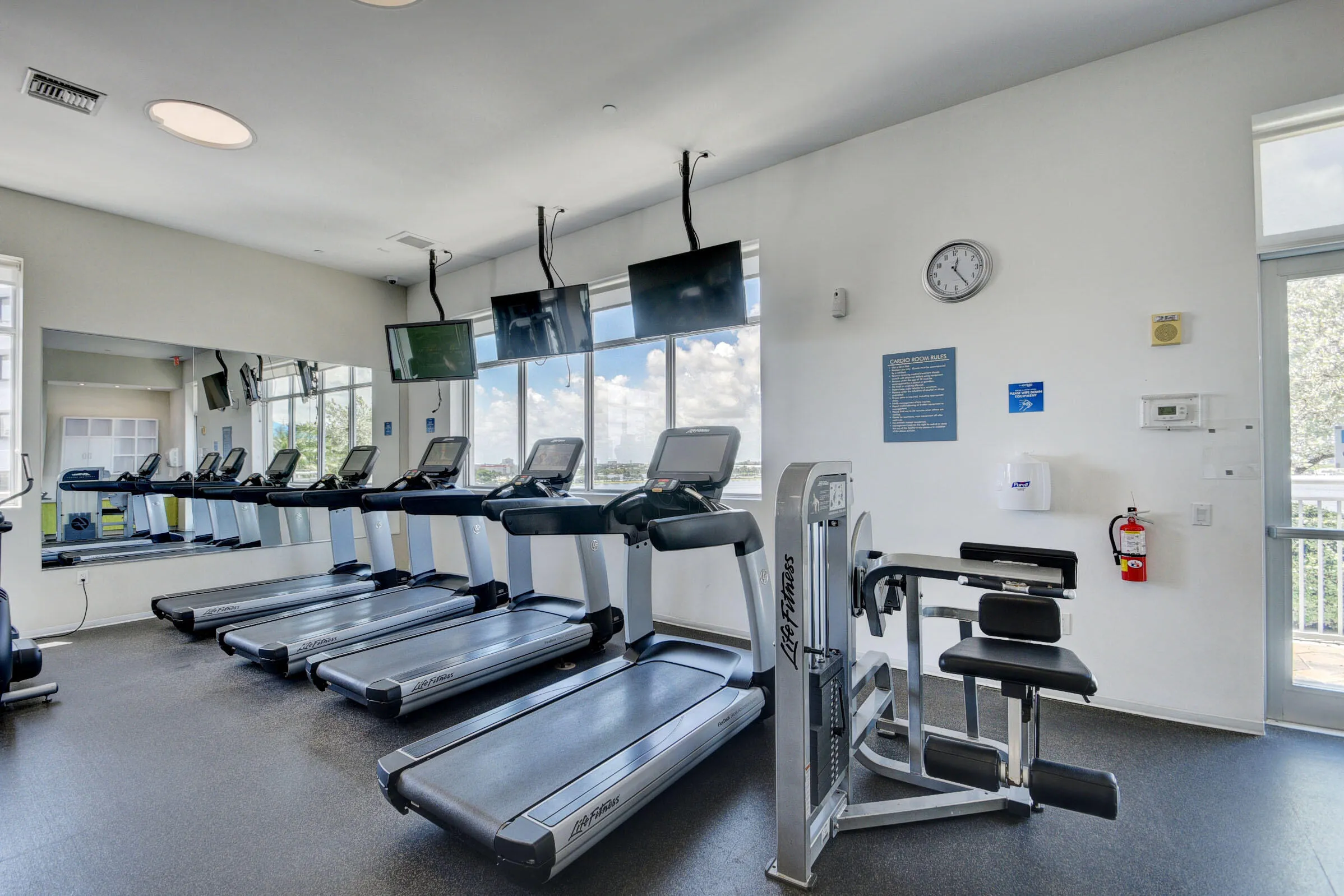 GYM