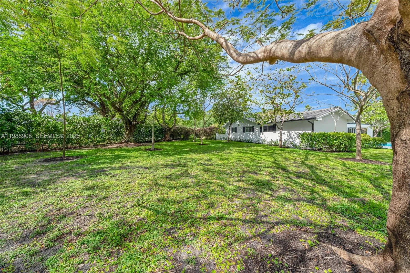 Property photo 96