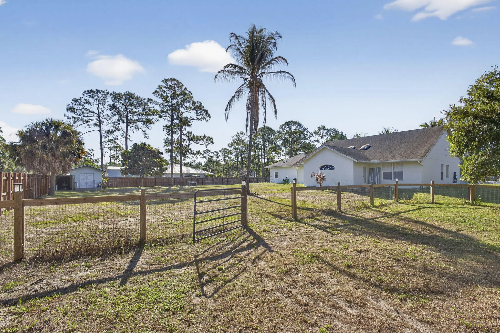 77-web-or-mls-BS1A6027