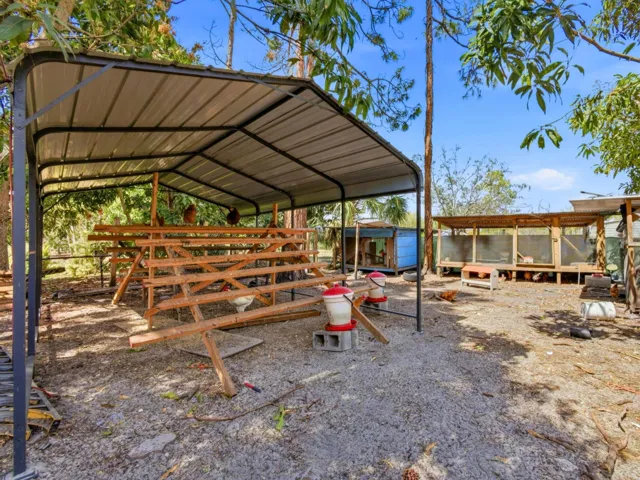 Chicken Coop