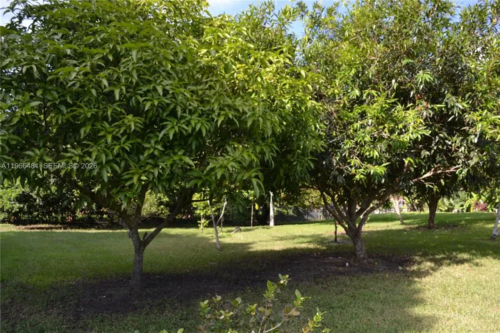Photo 52