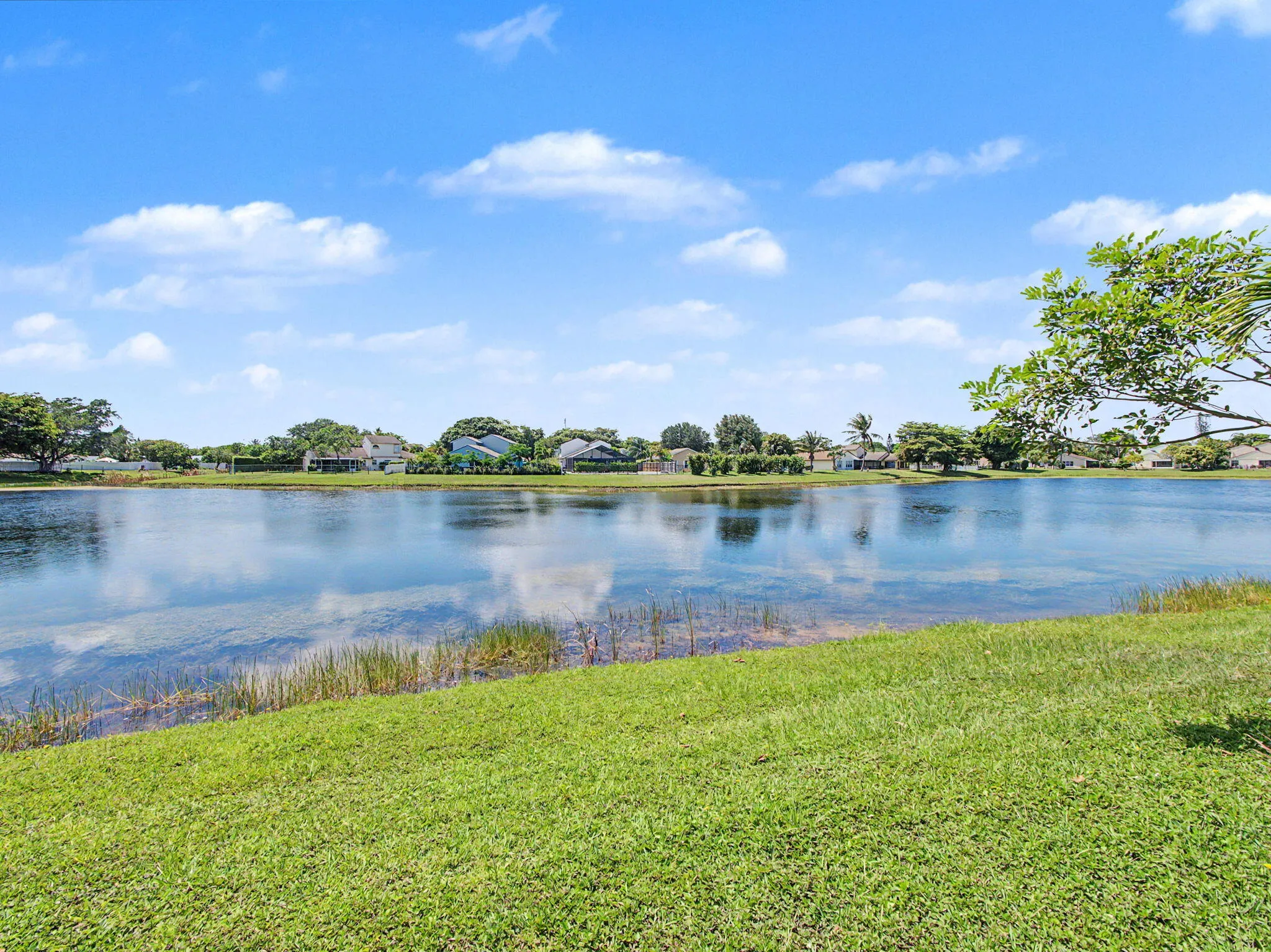 lake in back