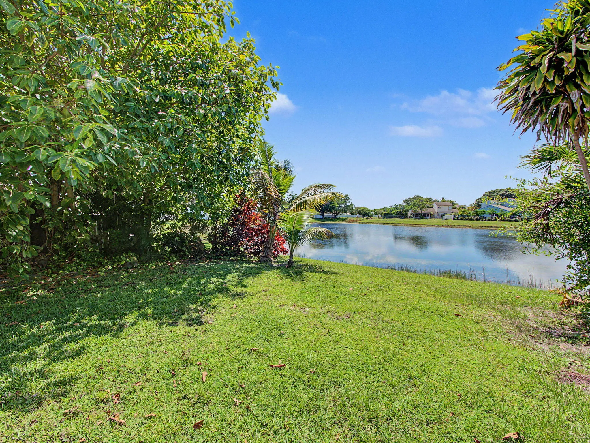 lake in the back yard