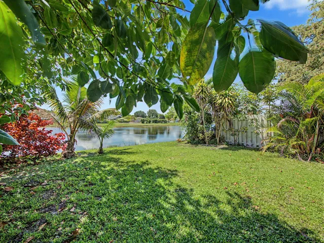 back yard