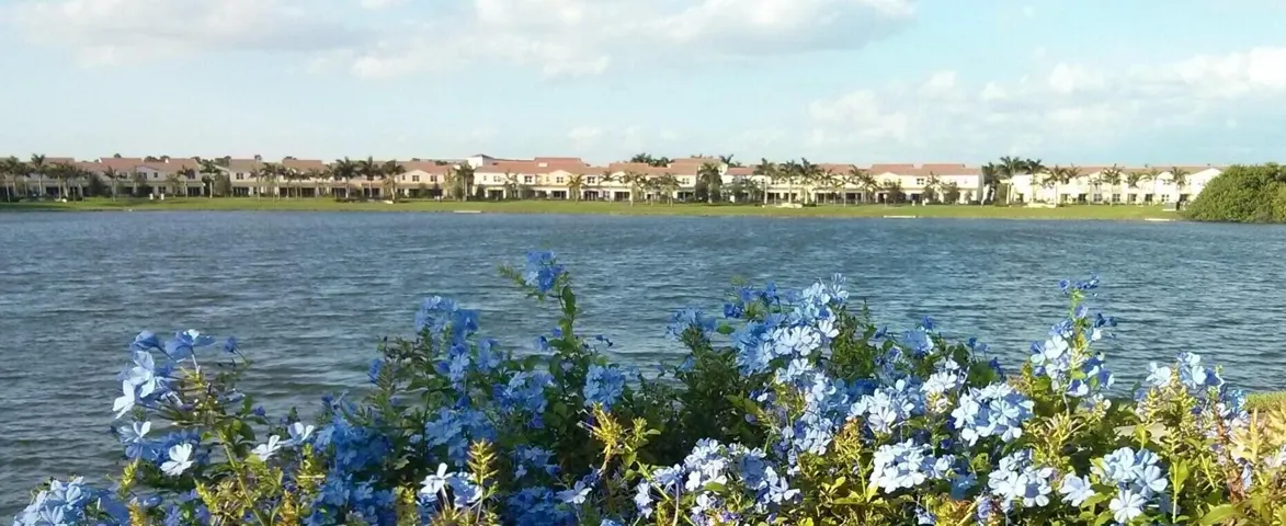 View from the Library with Centra Townhomes in the background