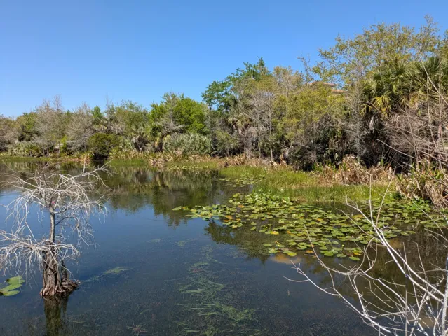 community lake