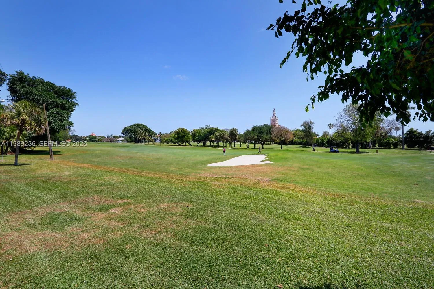 Property photo 62