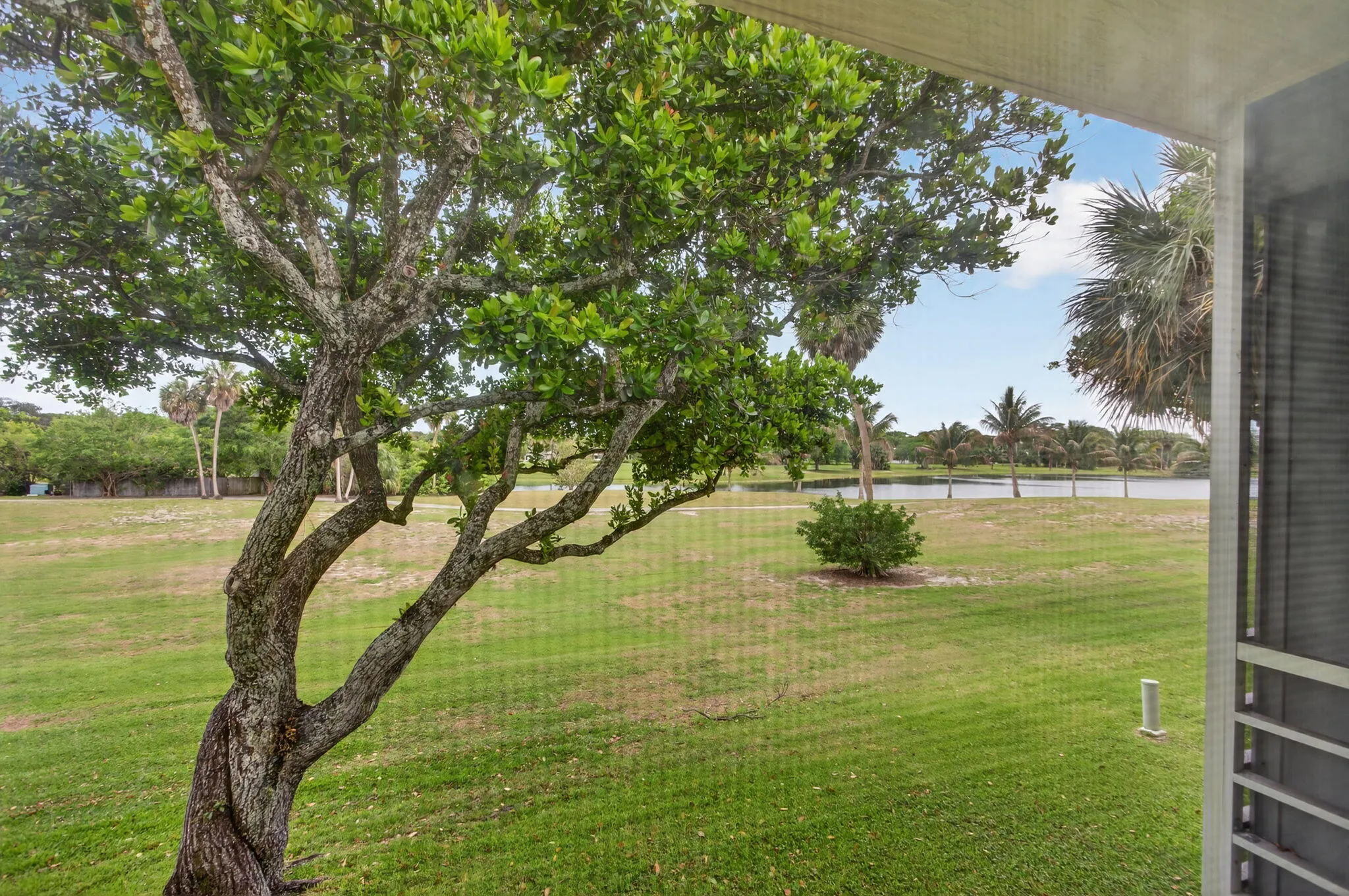 29-web-or-mls-800-1338