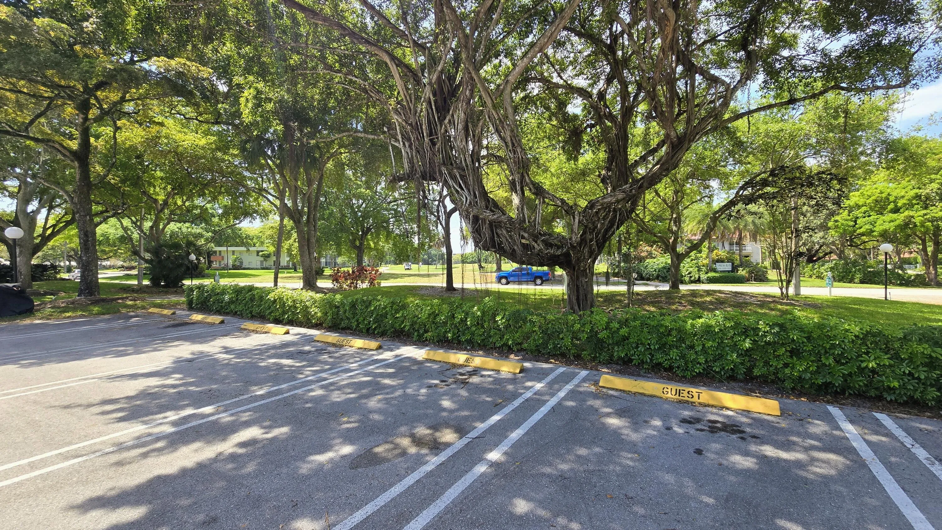 12-web-or-mls-800-1208