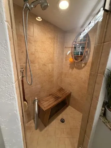Primary Shower