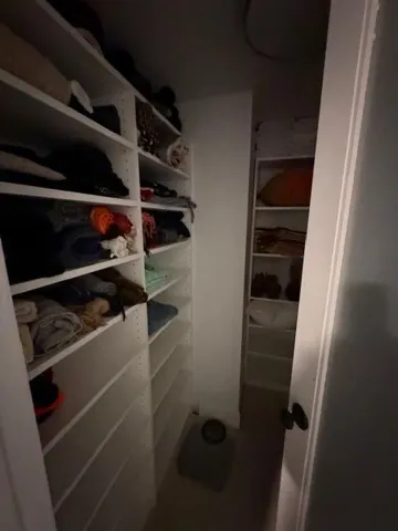 Guest Walk-in Closet