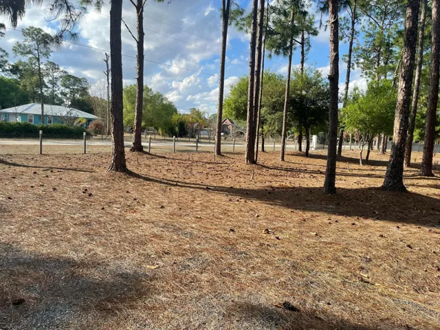 Front yard