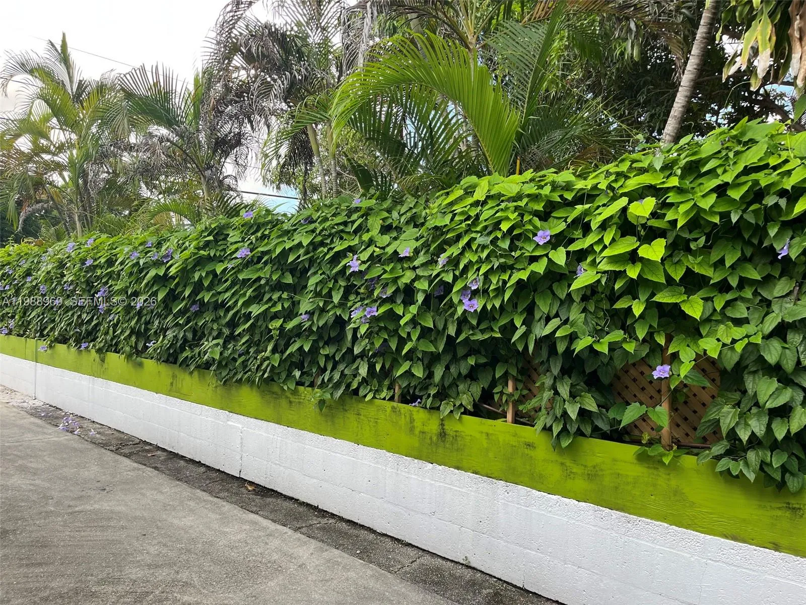 Property photo 30