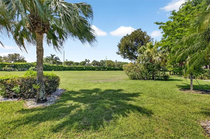 Large park like view in backyard