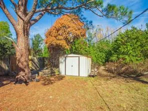 shed in back yard