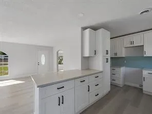 kitchen countertop and cabinets