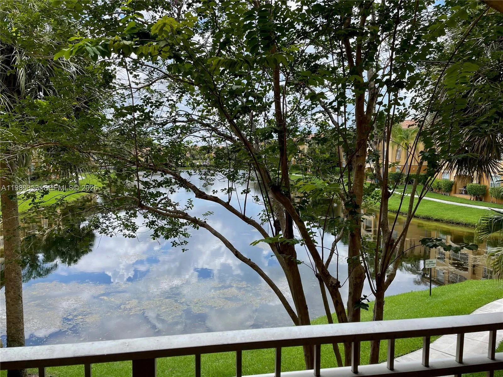 View from balcony