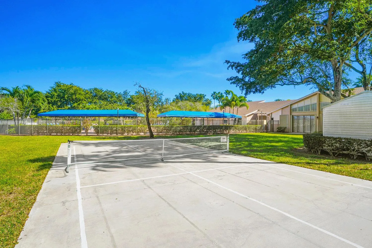 Pickleball Court