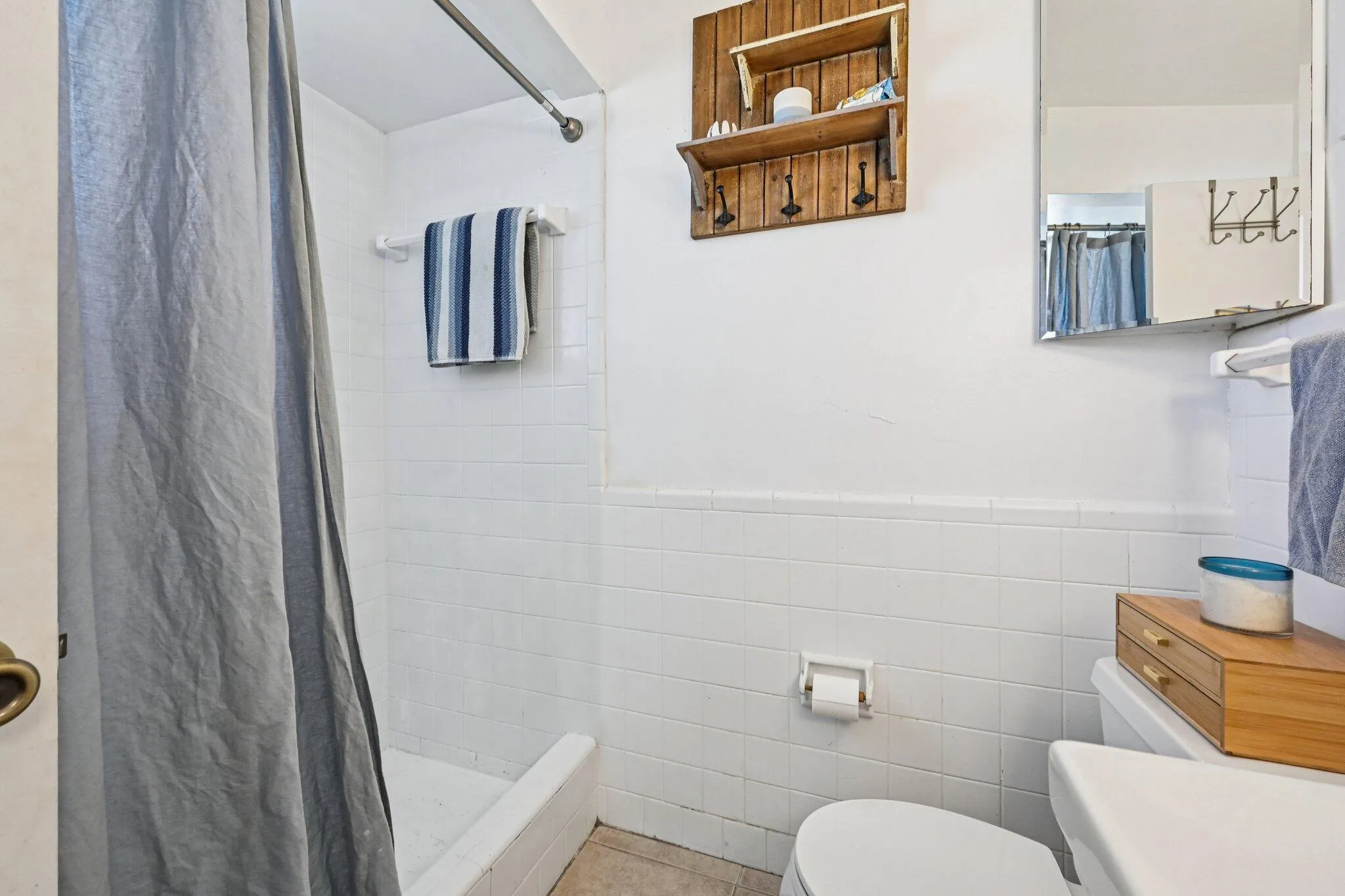 Primary Shower