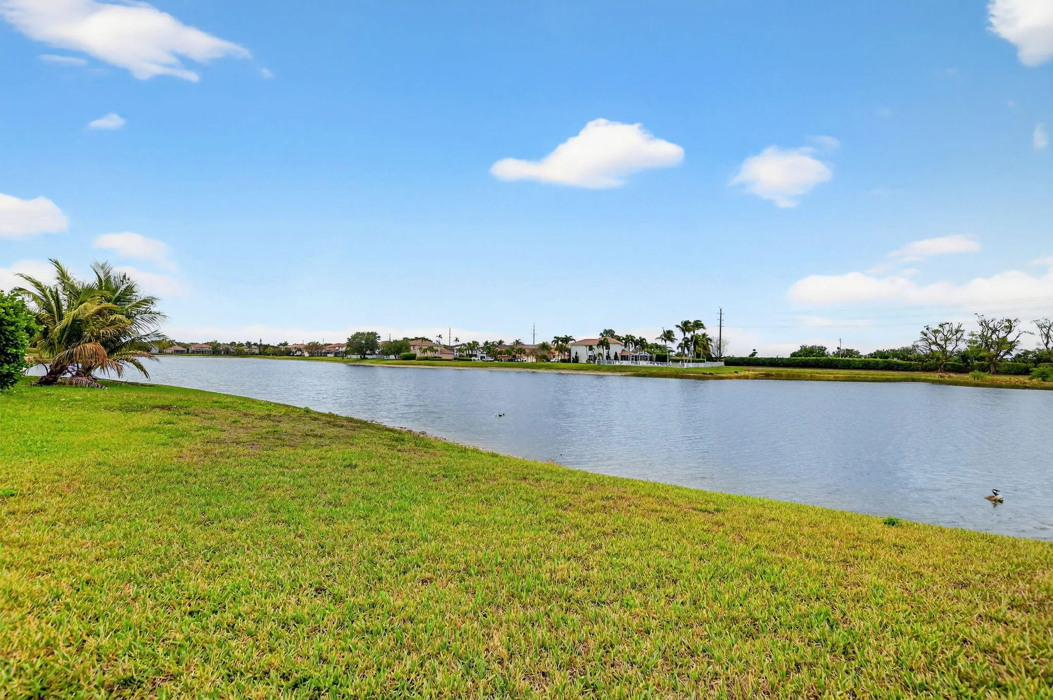45-web-or-mls-DSC_7658