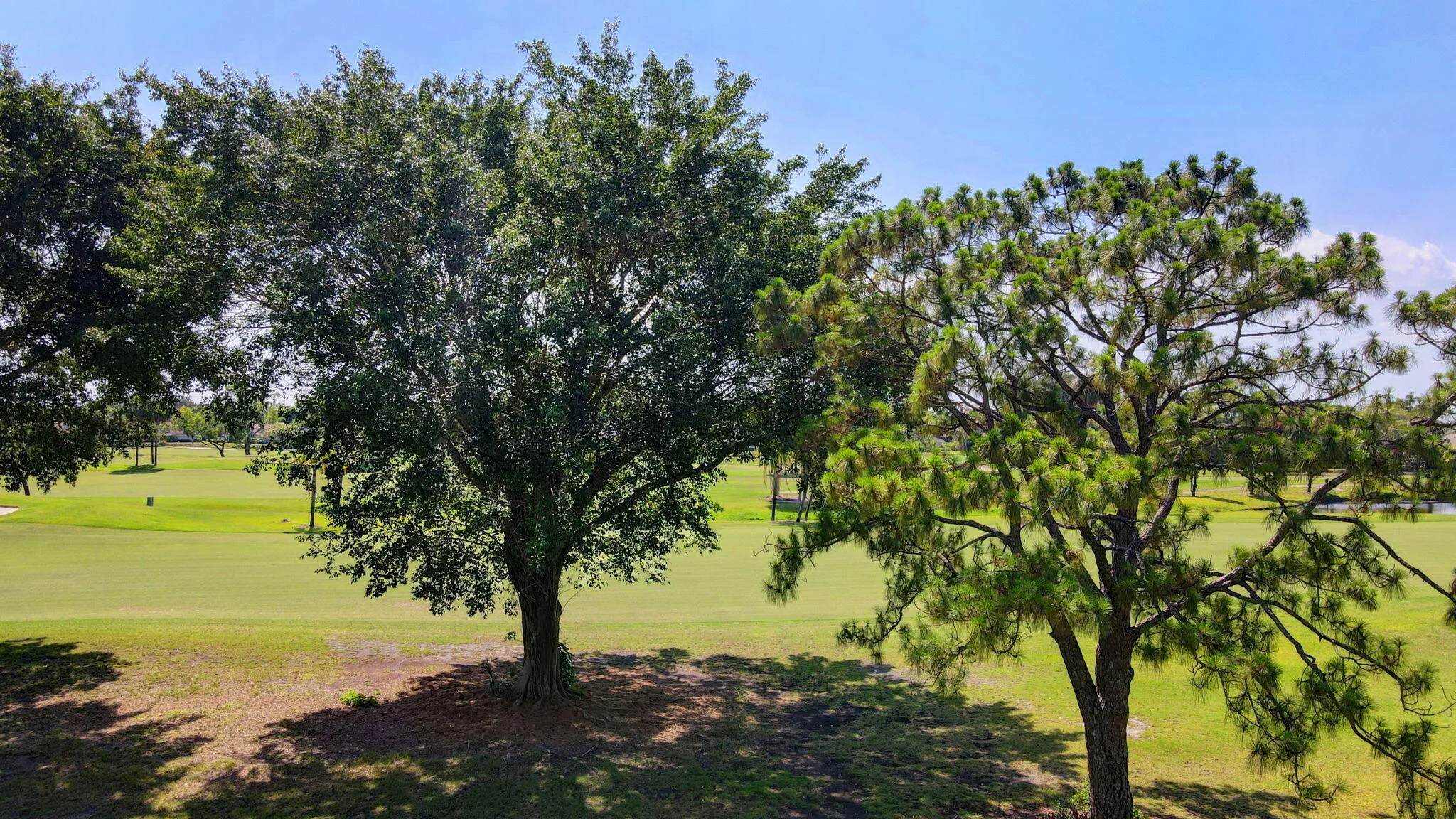 55-web-or-mls-Apartment air (17)