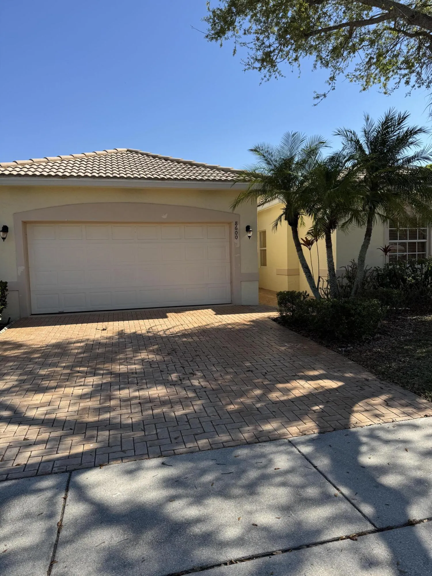 2-web-or-mls-BS1A4175