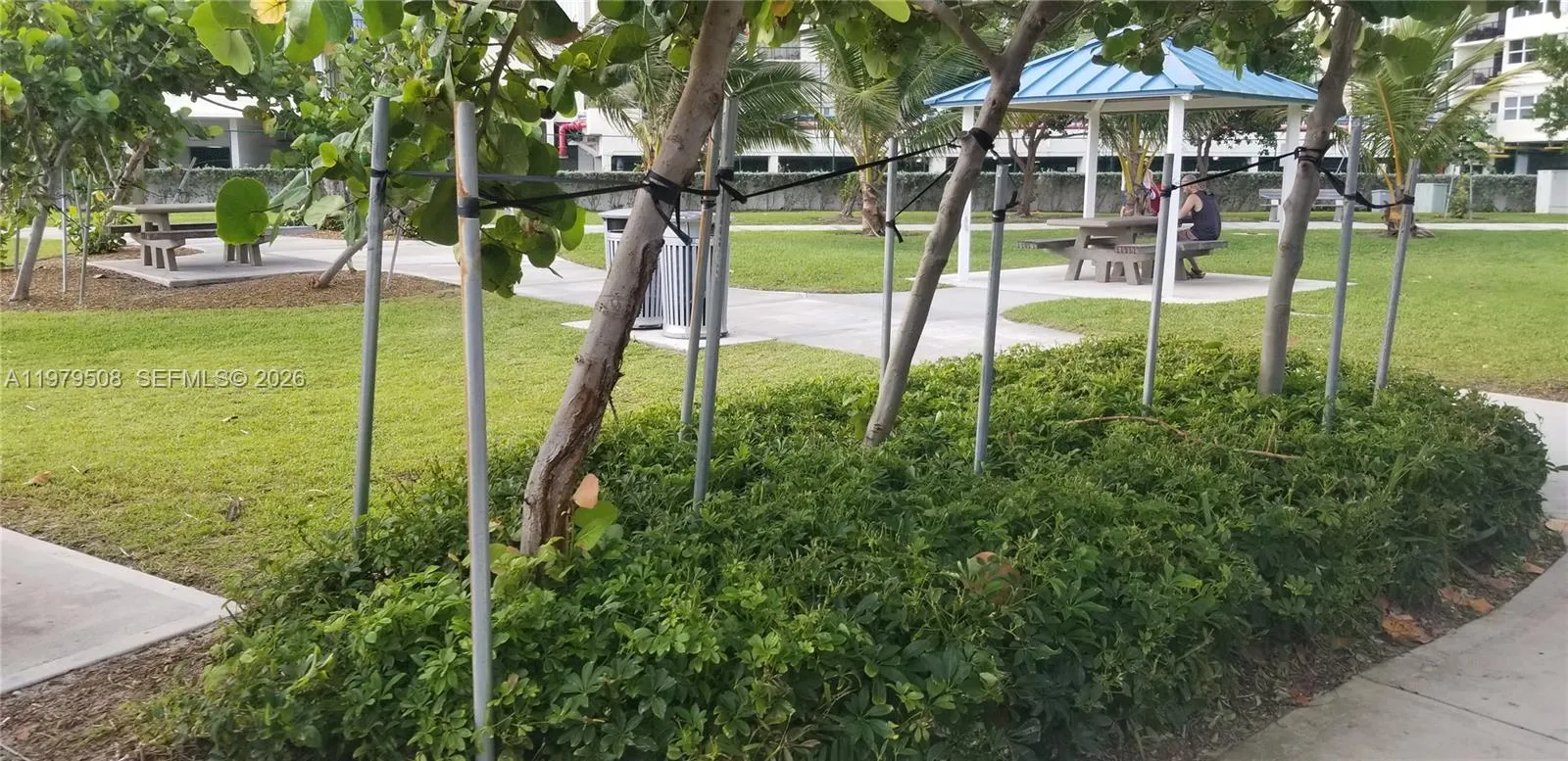 public park walking​​‌​​​​‌​​‌‌​‌‌​​​‌‌​‌​‌​‌​​​‌​​ distance