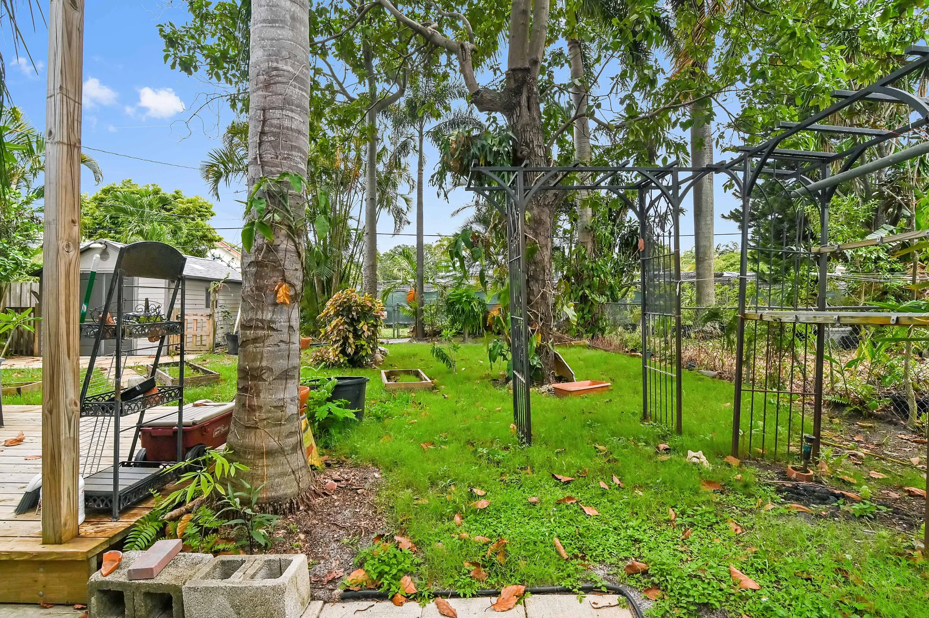 03 Backyard 01
