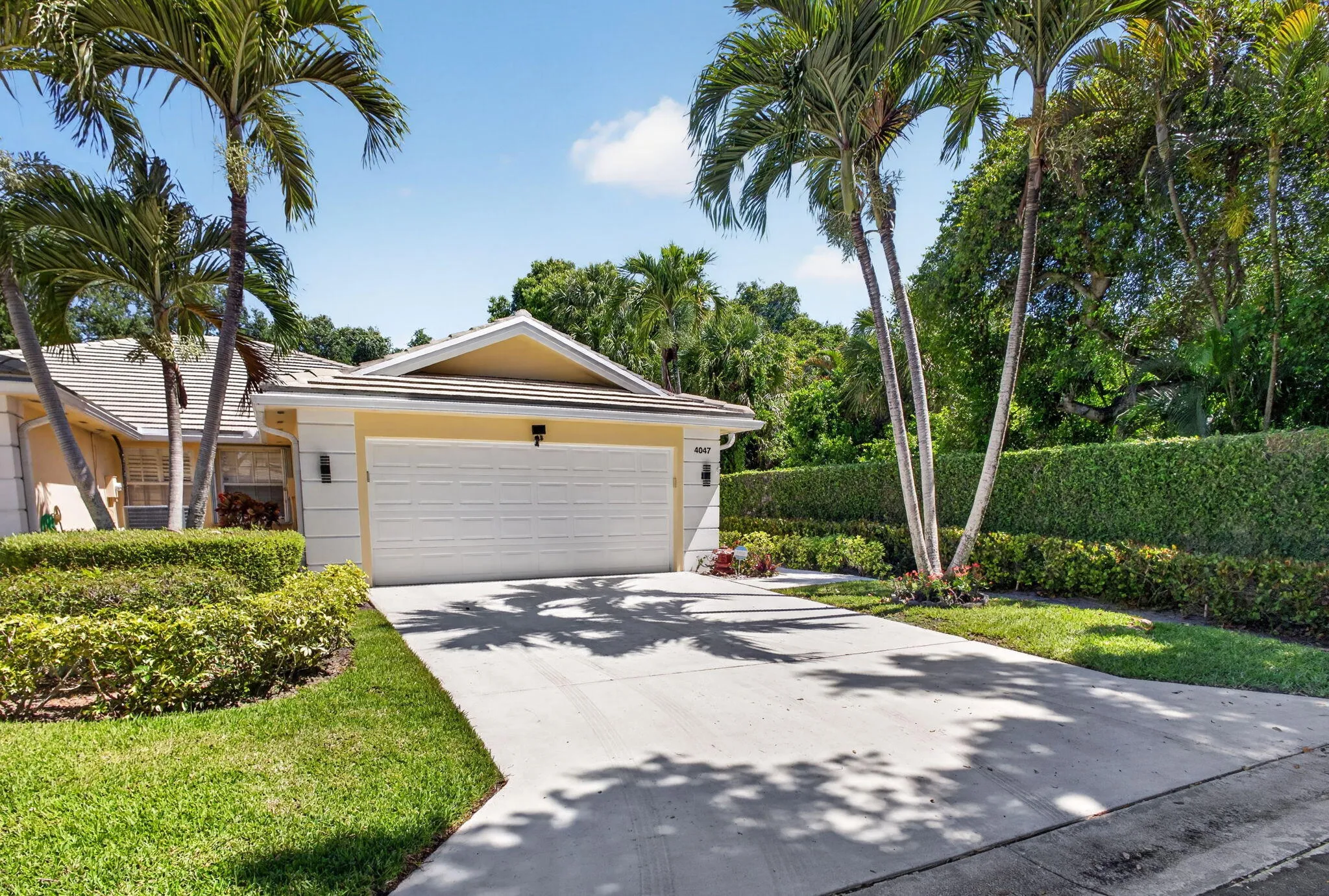 2-web-or-mls-5D1A5625