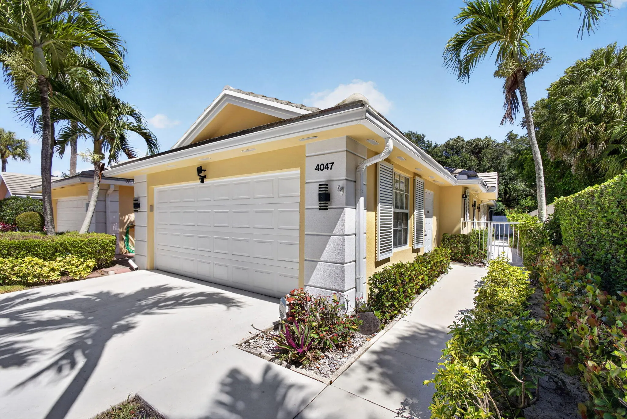 5-web-or-mls-5D1A5642