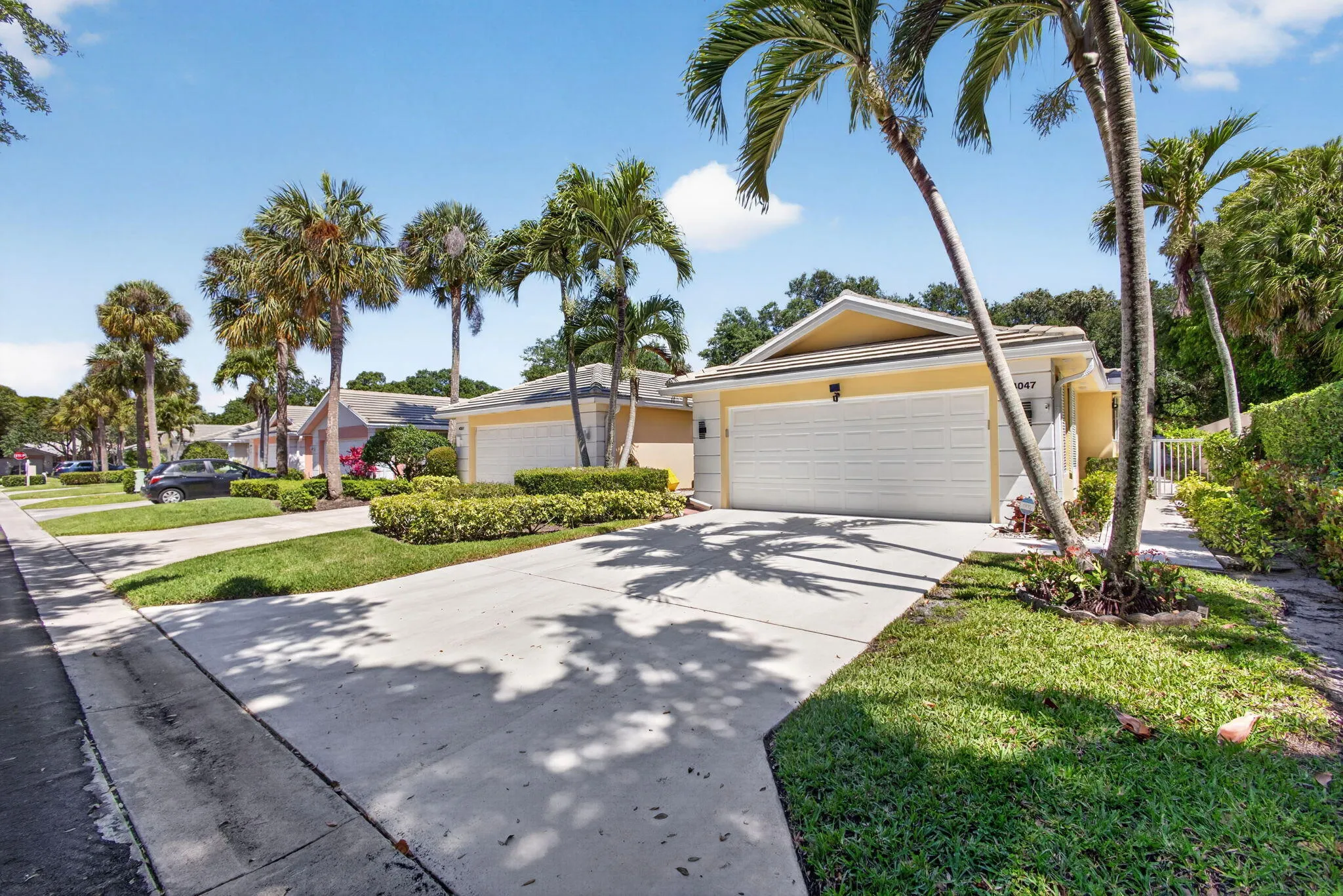 4-web-or-mls-5D1A5635