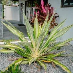 Property photo 40