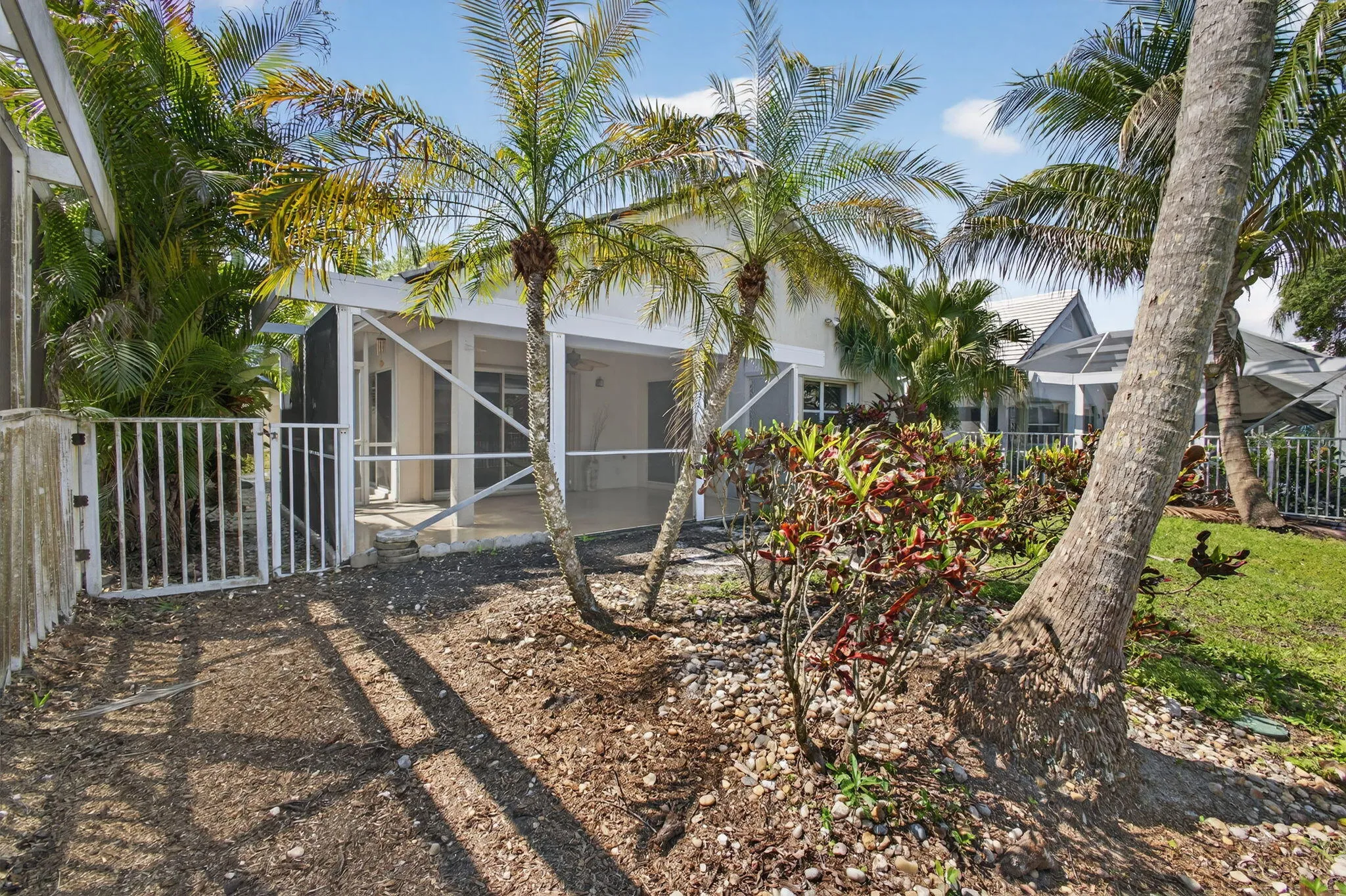 Backyard (3)