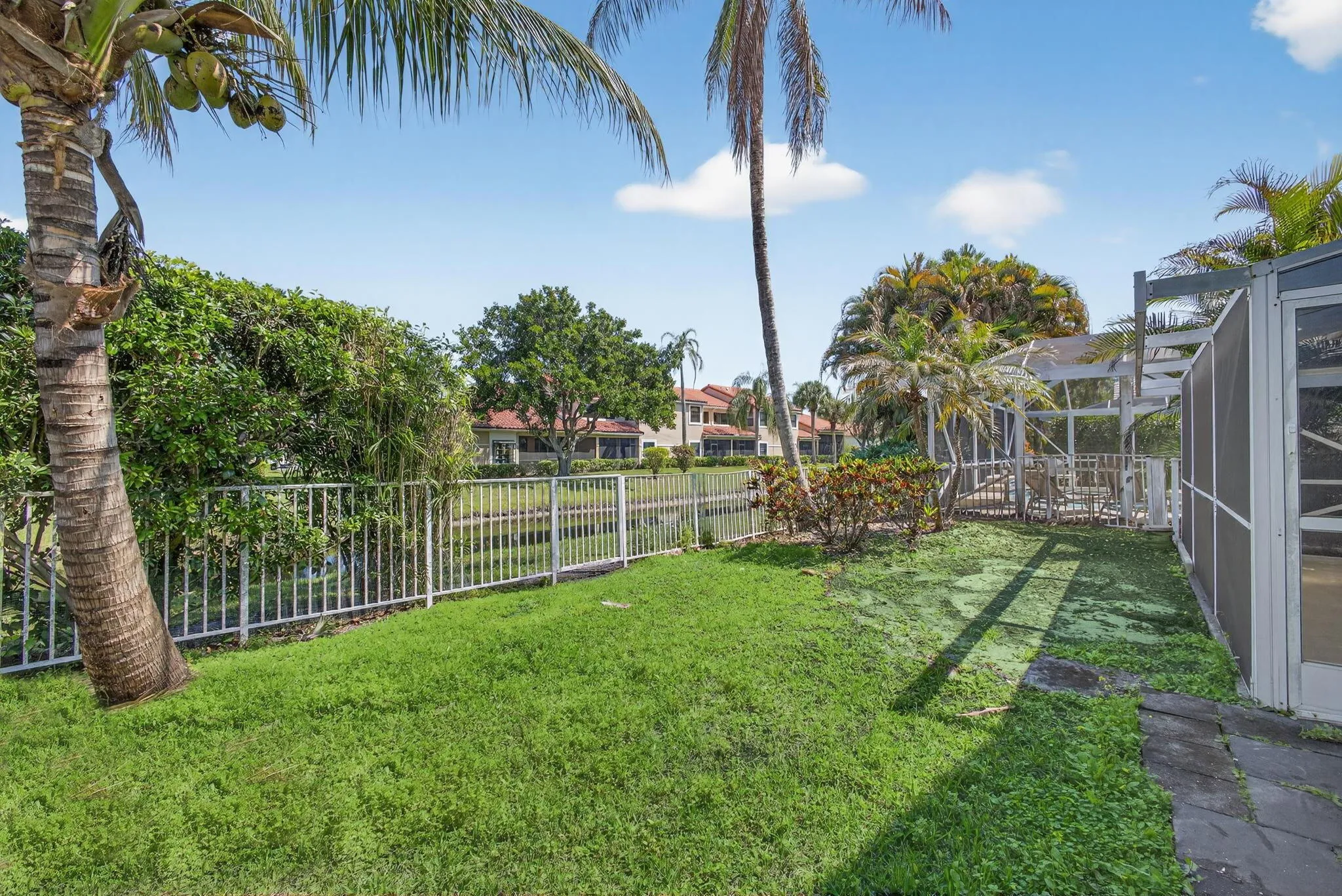 Backyard (4)