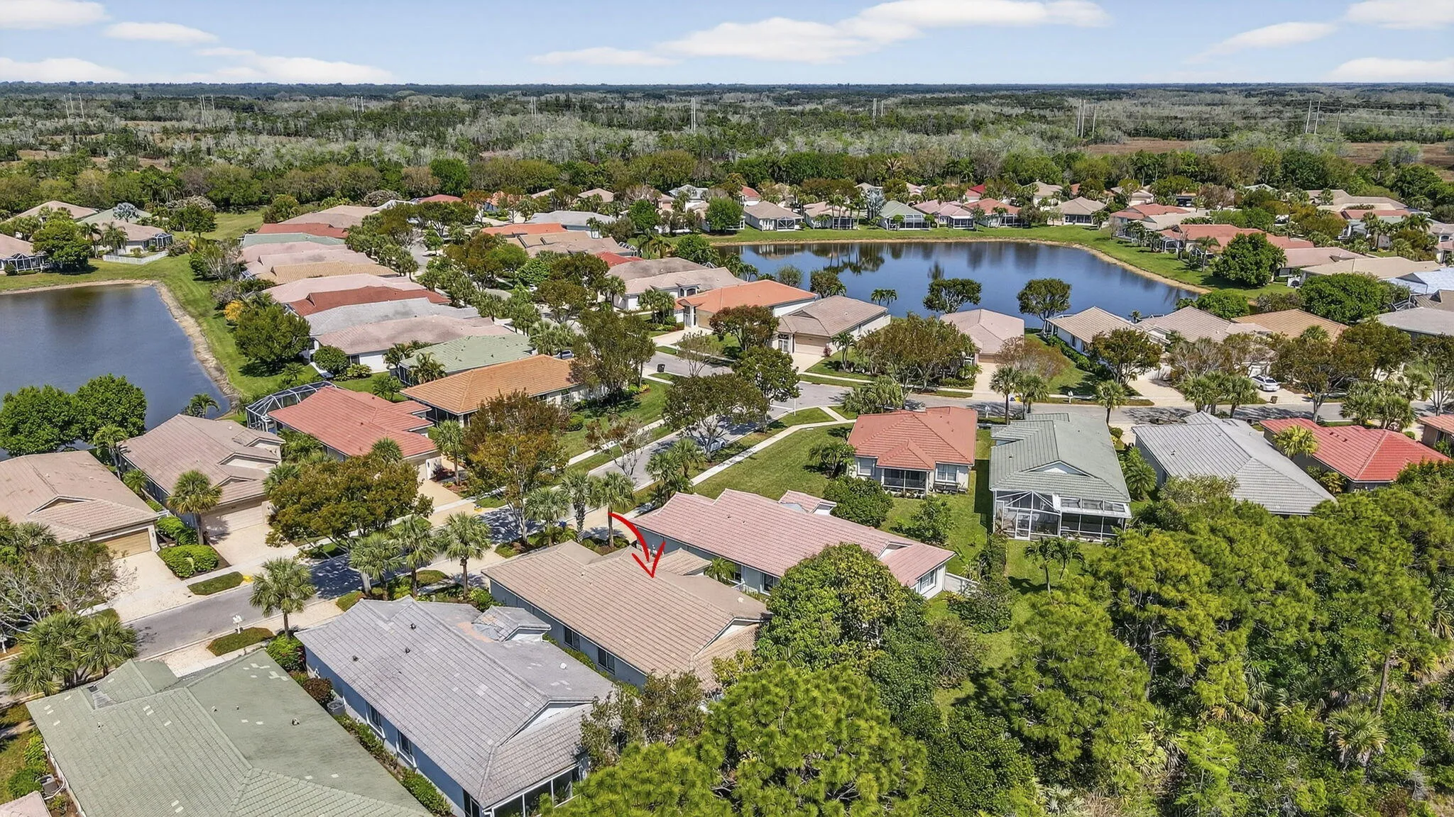 Aerial Shot
