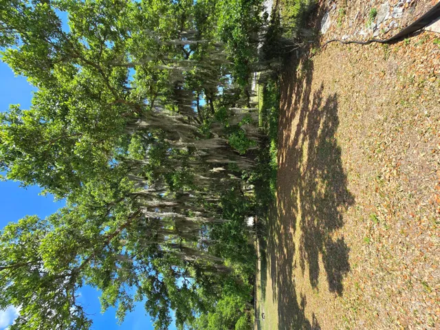 1000015615
