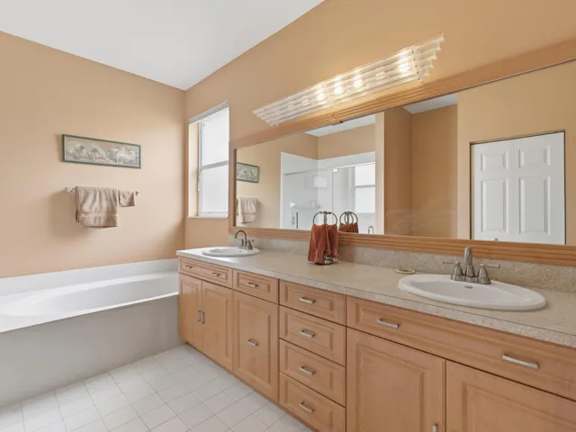 Primary Bathroom 1