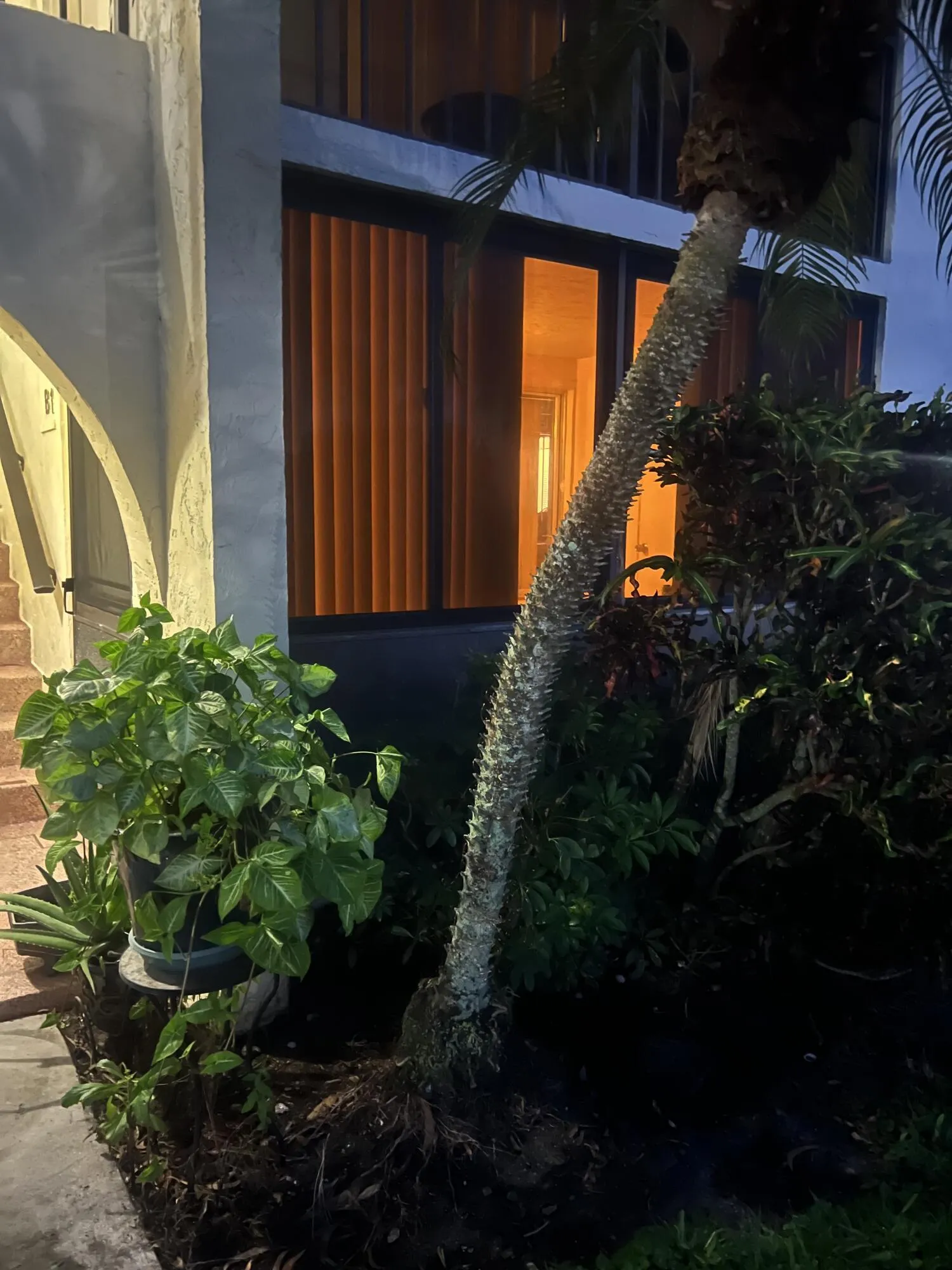 plants 907