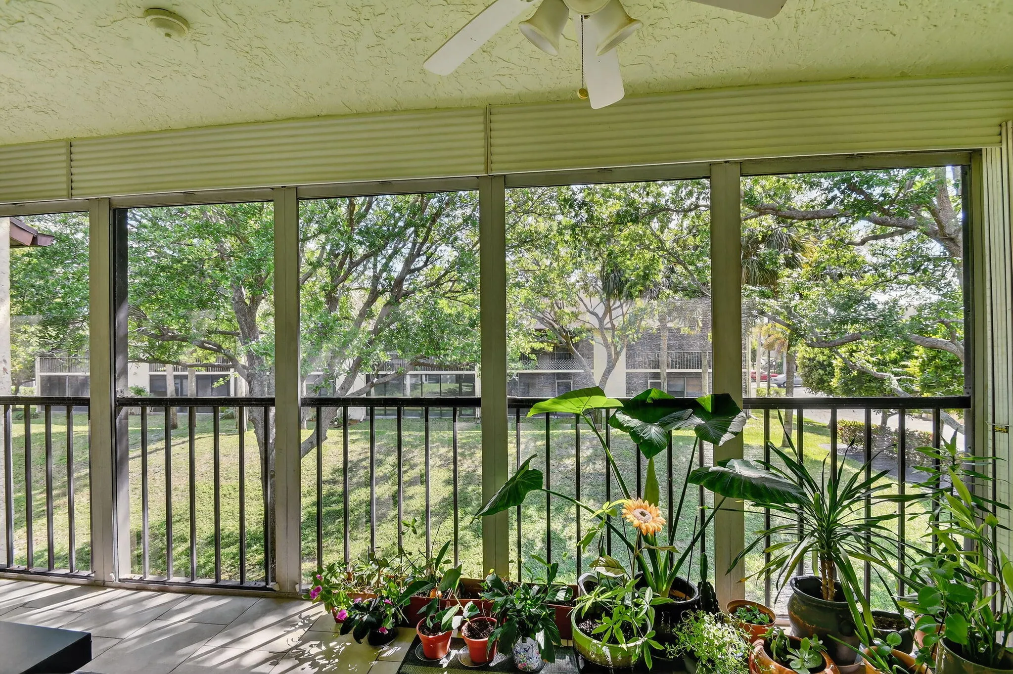 Screened Balcony / Lanai