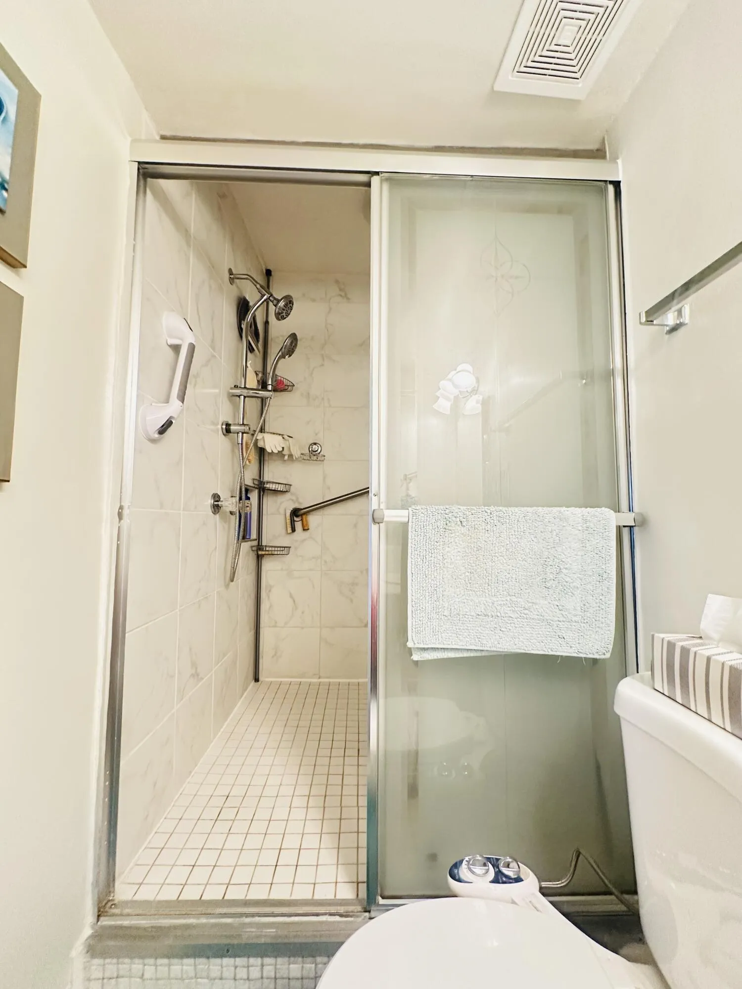 Guest 1/2 bath converted to full bath with huge shower stall