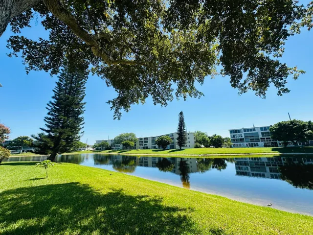 Serene Lake View