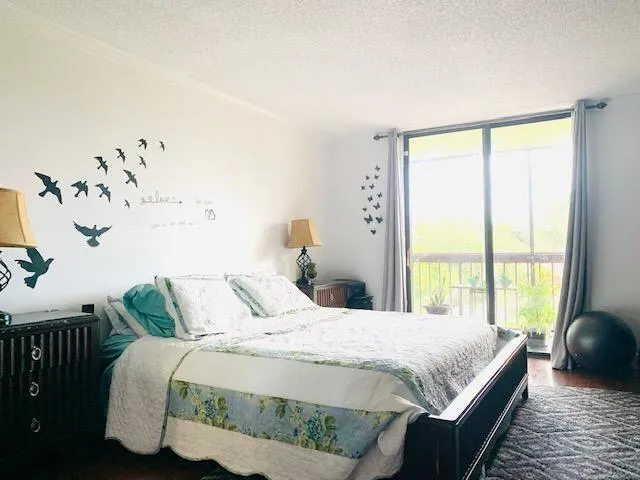 737- Pic 7