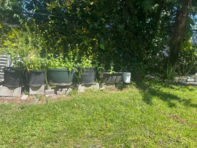 IMG_1863