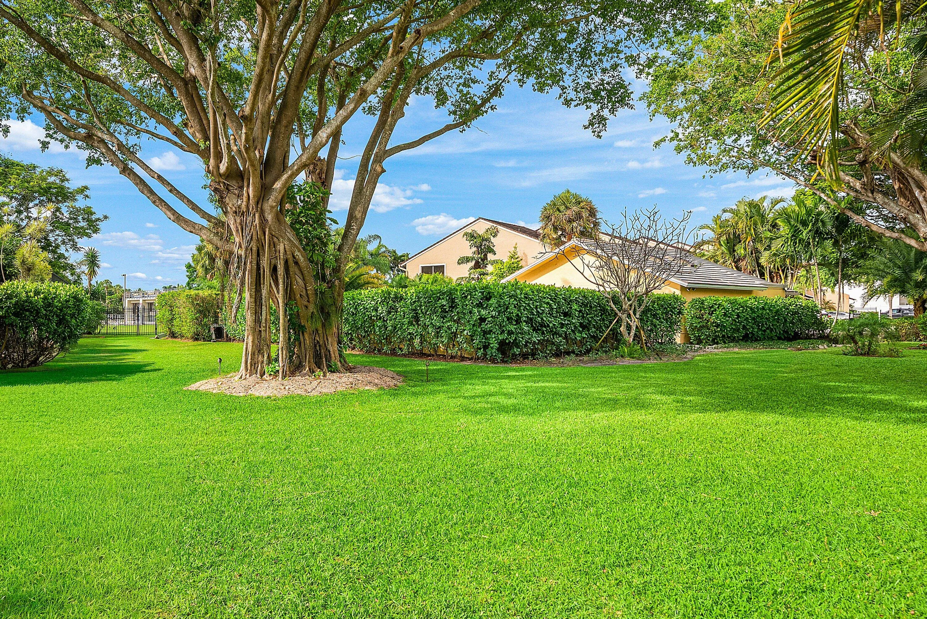 Property photo 62