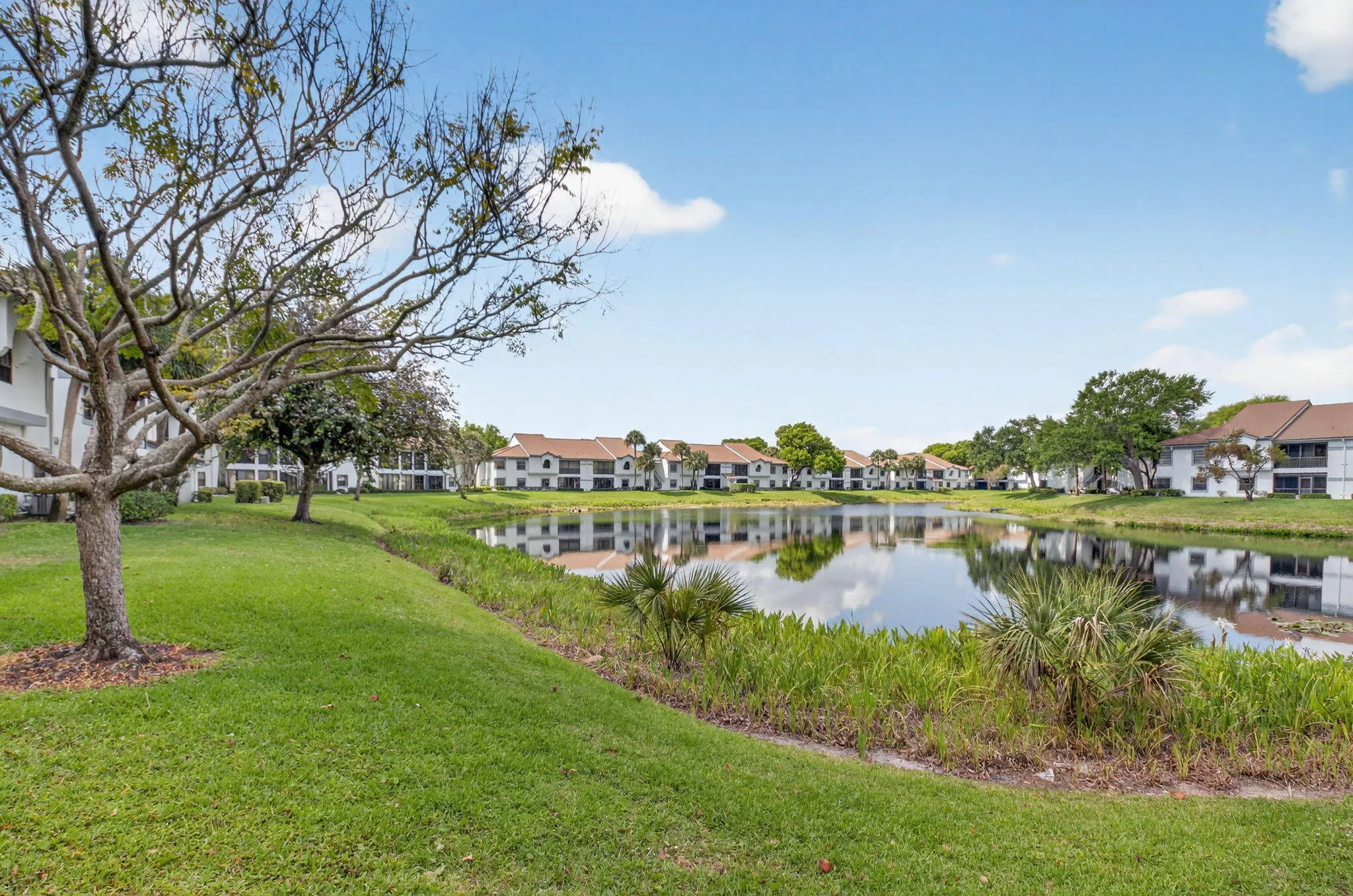 Lake View