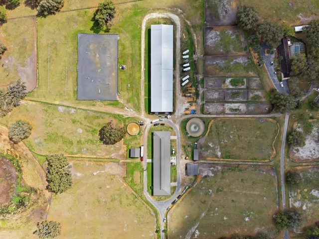 dji_20260303072612_0915_d