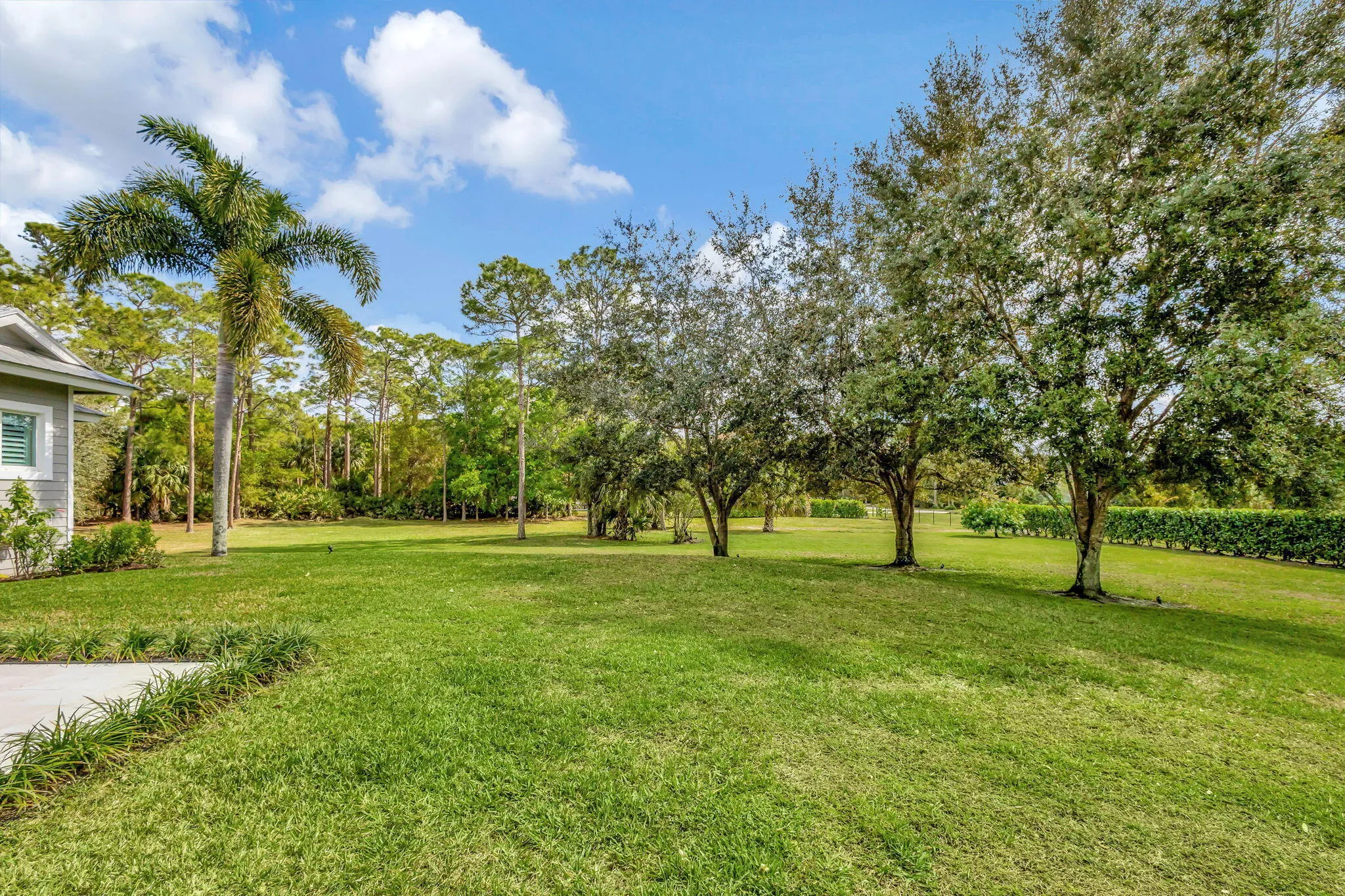 Side Yard