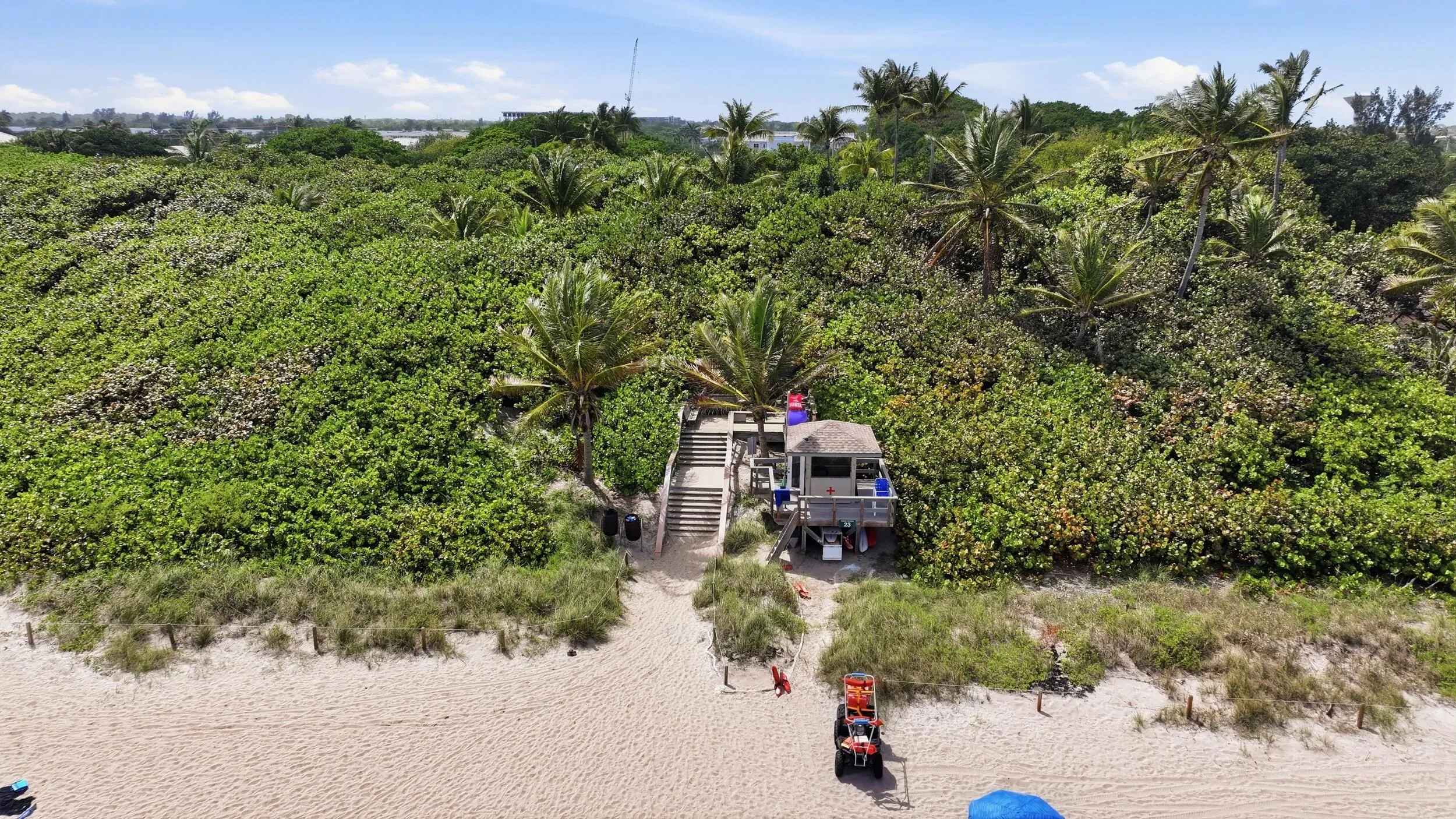 54_dji_20260403150820_0074_d