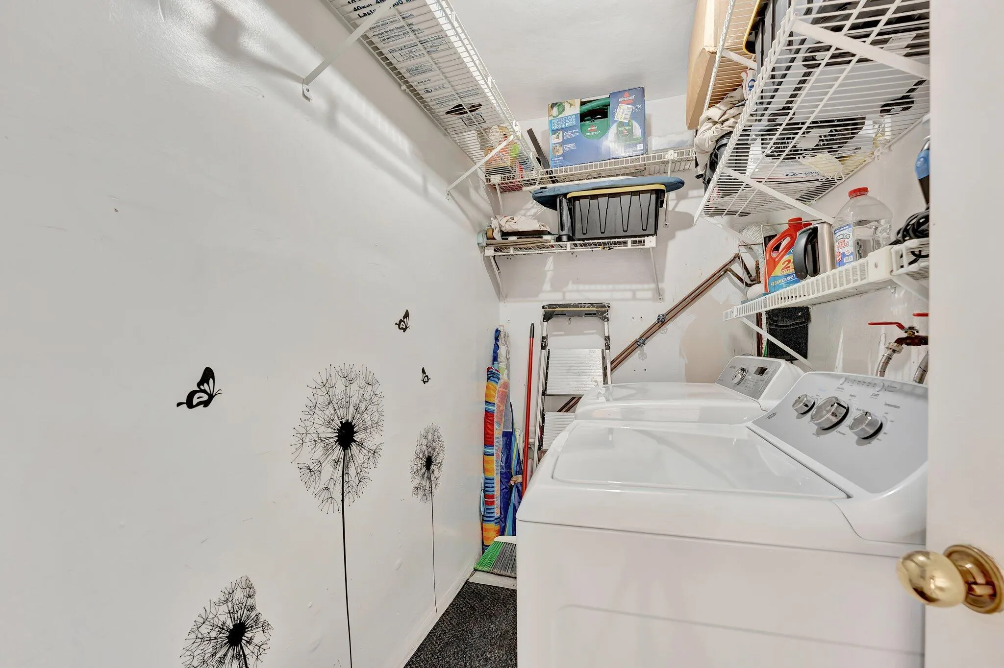34-web-or-mls-DSC04204