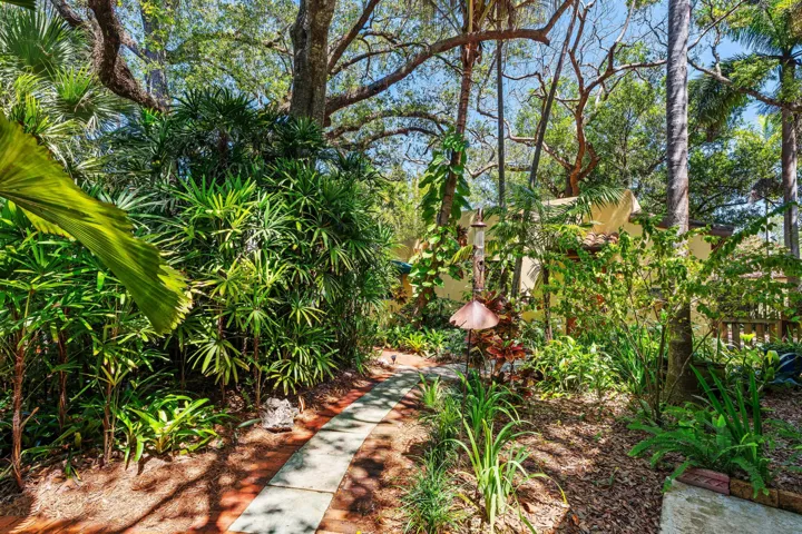 PATHWAY_LOOKING_OUT_DT